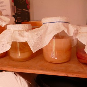P1010747.JPG