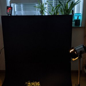 Fotostudio