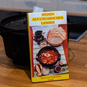 210124_Ungarisches_Feuerfleisch.jpg