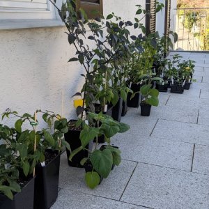 Erstes mal frische Luft