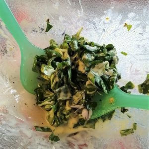 Feldsalat