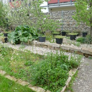 P1020018.JPG