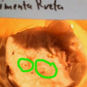 Pimenta Preta