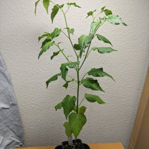 LBoG x WF F2_P5_PXL_20220122_133343522.jpg