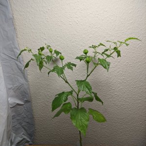 WF X LD F2_P2_PXL_20220122_130612555.jpg