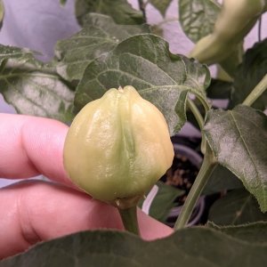 WF X LD F2_P2_PXL_20220219_133635535.jpg