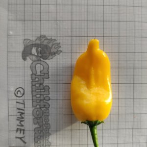 WF X LD F2_P4_IMG_20220225_164302.jpg