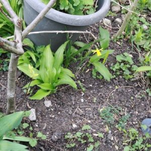 IMG_3383_cleaned.JPG