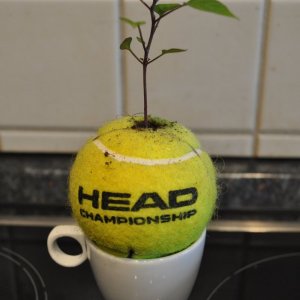 Ball 5.jpg