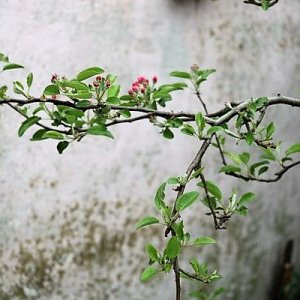 IMG_3464_cleaned.JPG