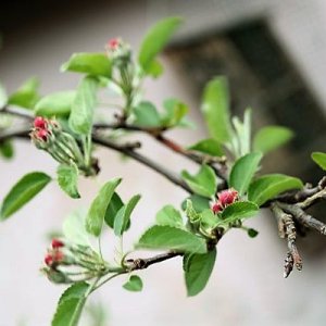 IMG_3465_cleaned.JPG