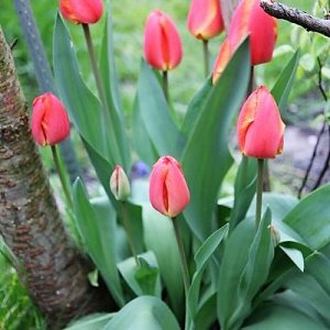 IMG_3467_cleaned.JPG