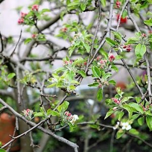 IMG_3470_cleaned.JPG