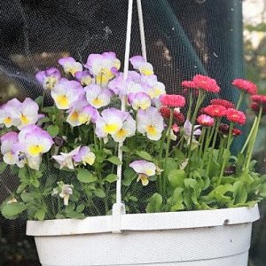 IMG_3662_cleaned.JPG