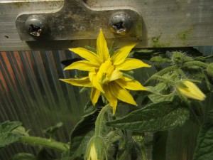 P6230733