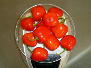 Manzano_Rojo_Ernte_20140905