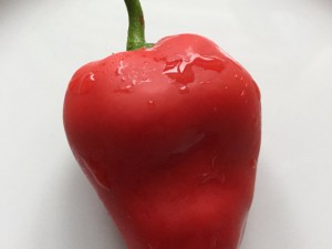Red Pepper from Hell ganze Frucht