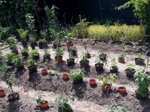 Beet - endlich fertig