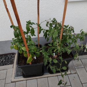 Gruppenbilder_IMG_20220604_205933.jpg
