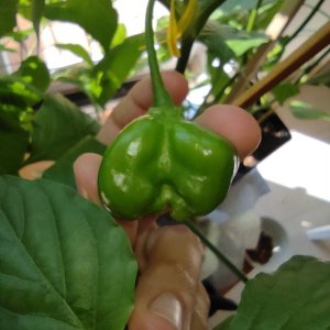 WF x LD F3 Stern_P1_IMG_20220822_105124_1.jpg