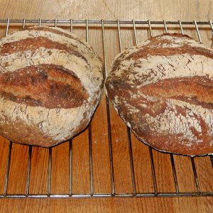 Pane Valle Maggia  (2).JPG