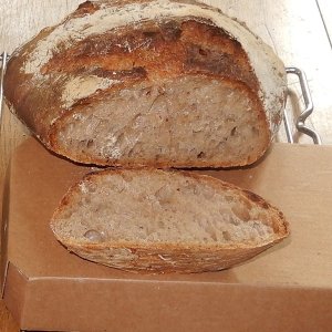 Pane Valle Maggia  (3).JPG