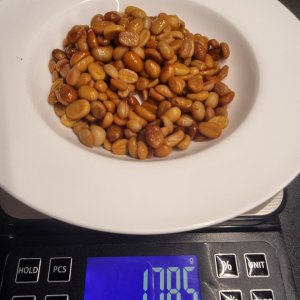 1000043641.jpg