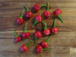 Fruechte_Dalle_Khursani