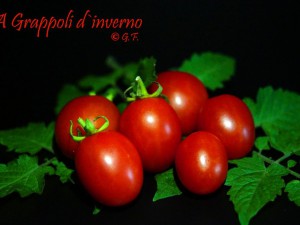 A Grappoli d' Inverno