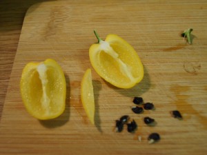 20160802_Rocoto 004