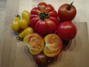 IMG_20160802_181242