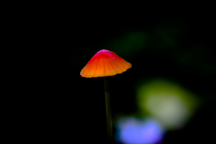 01kl (1 Von 1)-8