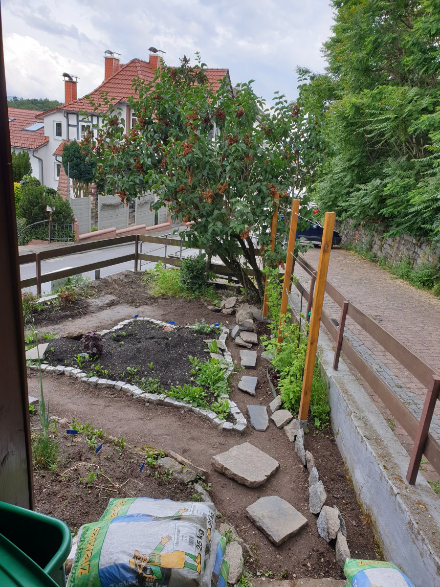 06.06.20 Gartenweg gegraben.jpg