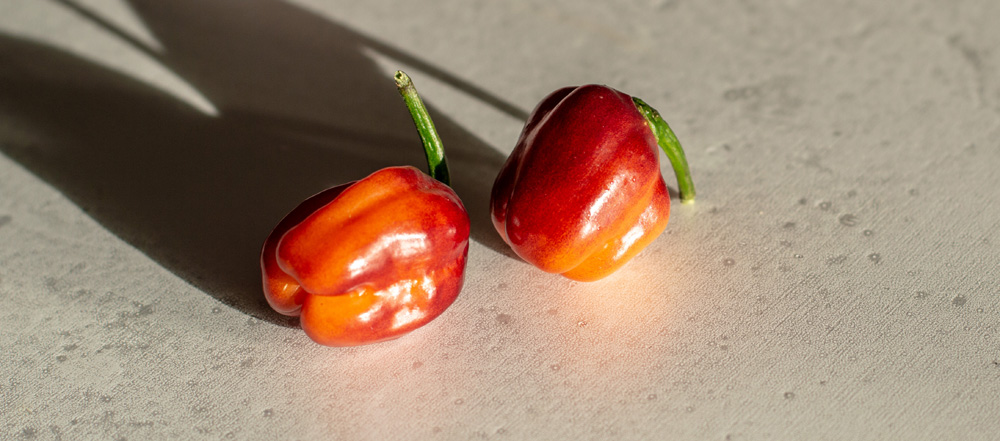 190723_Orange_Flash.jpg