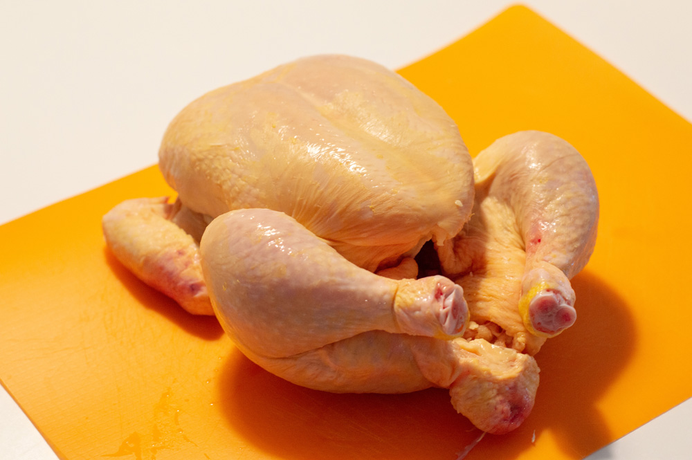 190829_Roadkill_Chicken.jpg