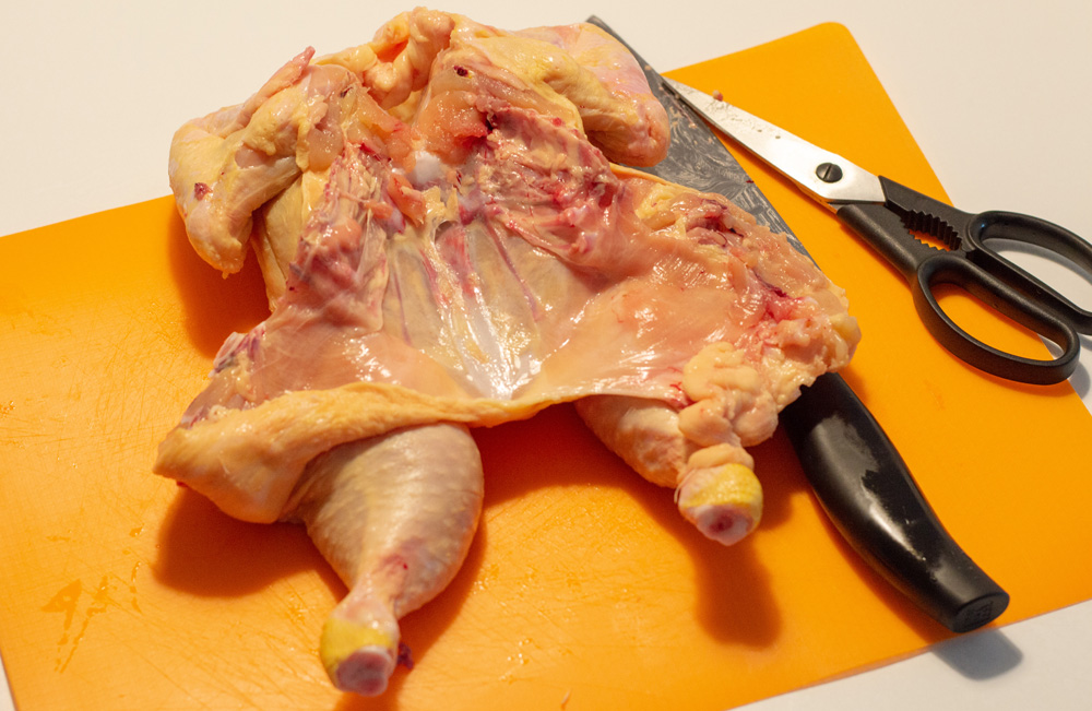 190829_Roadkill_Chicken_1.jpg