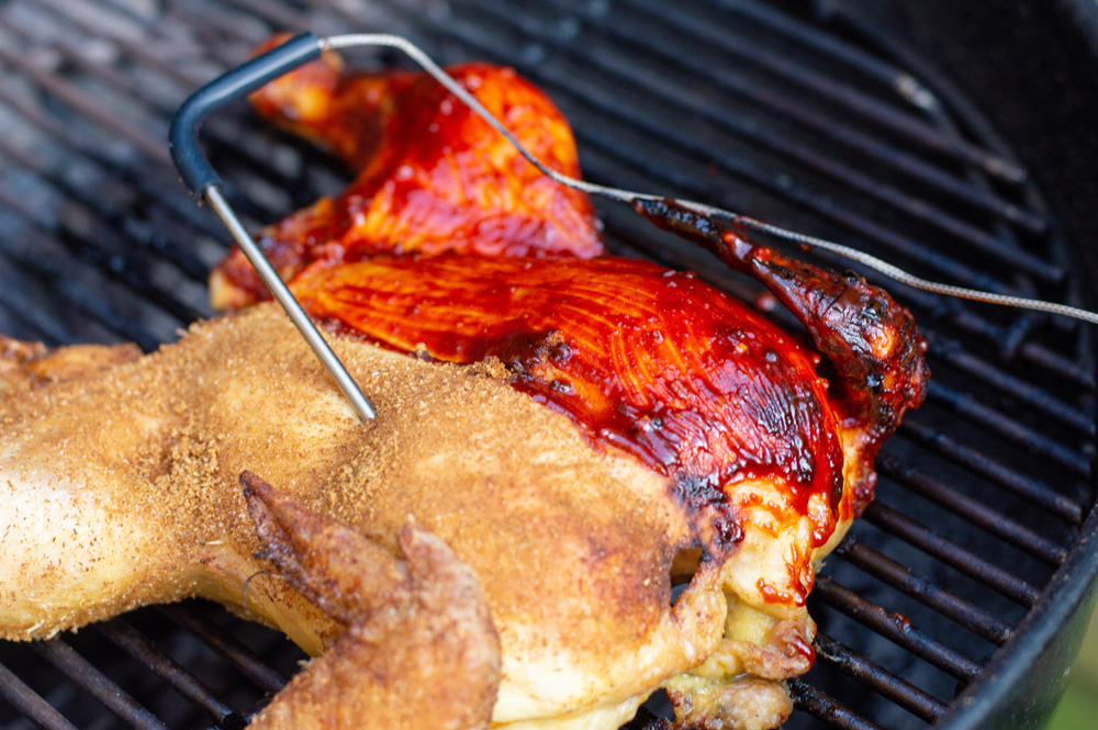 190829_Roadkill_Chicken_7.jpg