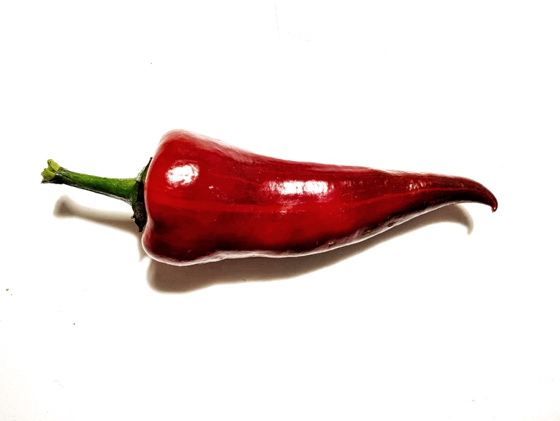 200825_Tiger_Jalapeno
