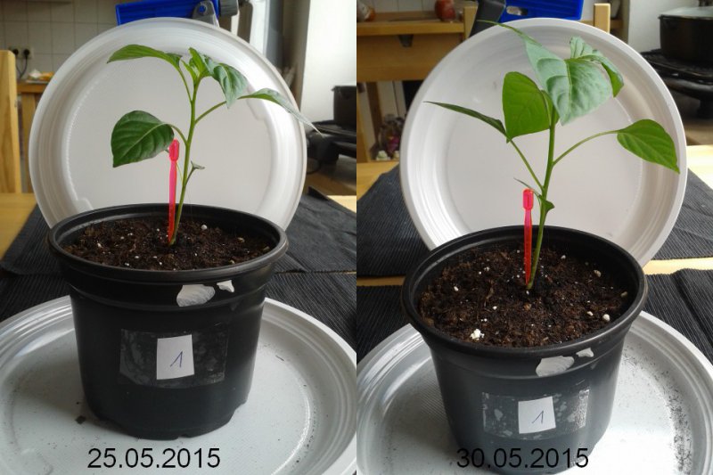 2015-05-30-vergleich-01