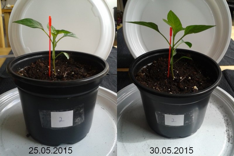 2015-05-30-vergleich-02