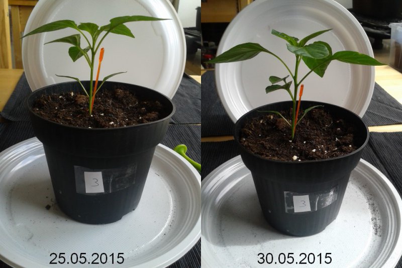 2015-05-30-vergleich-03