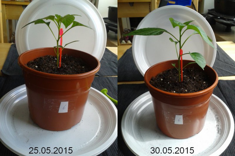 2015-05-30-vergleich-06