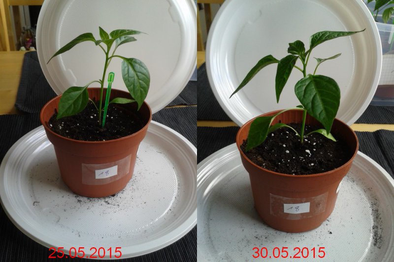 2015-05-30-vergleich-18