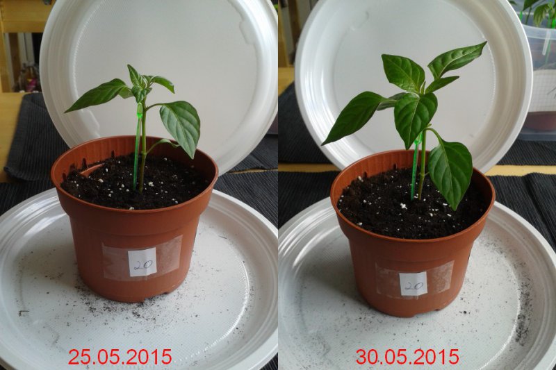 2015-05-30-vergleich-20