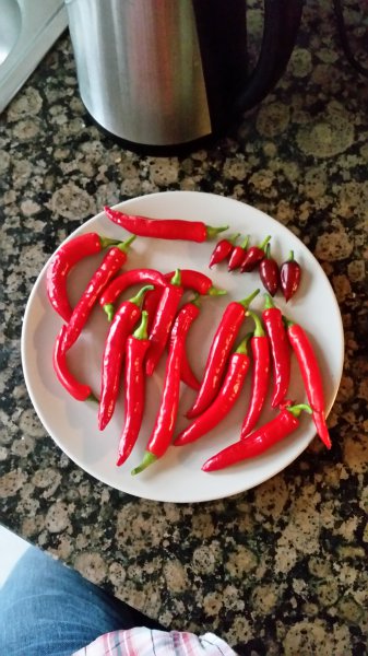 20150728_175525
