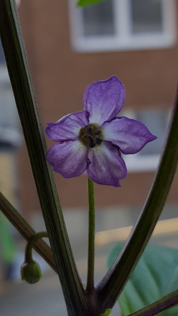 20170411_082048