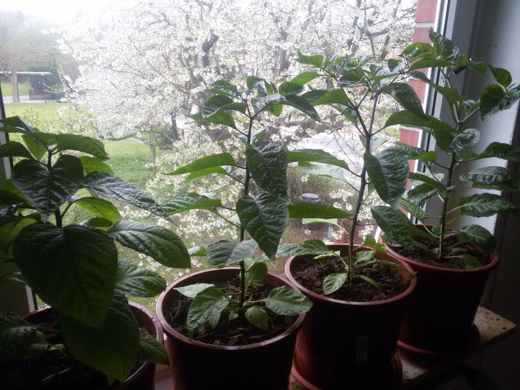 20170413_111940
