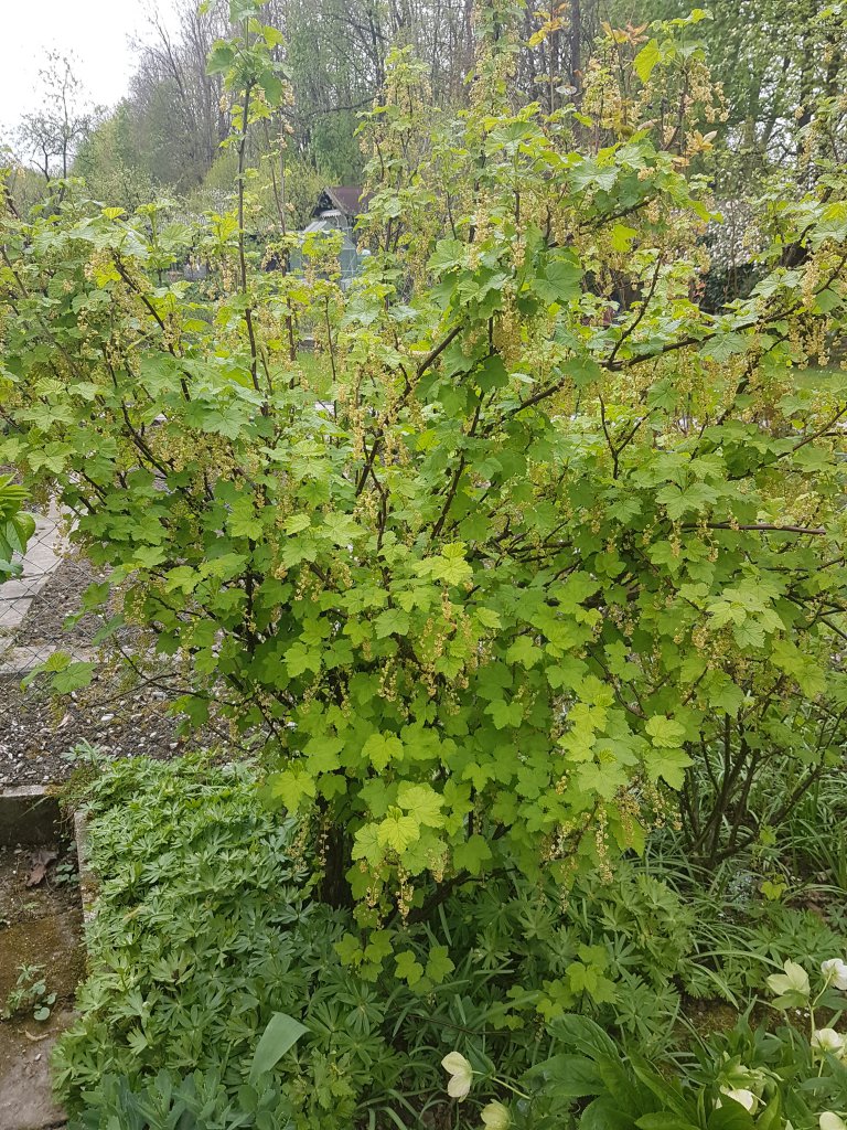 20170422_132149