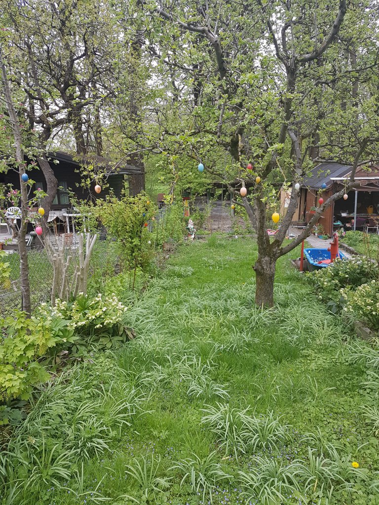 20170422_132155