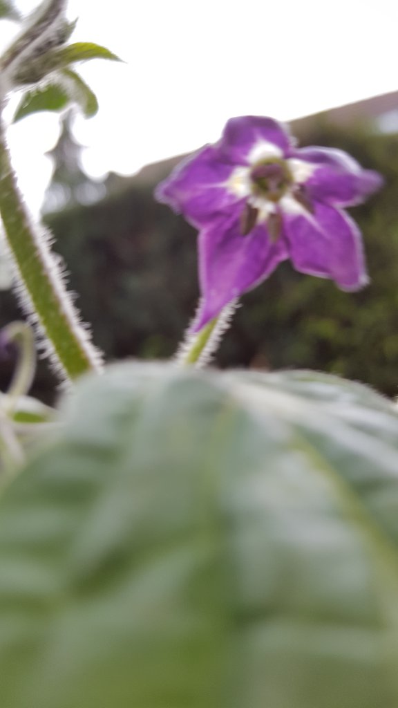 20170604_151533